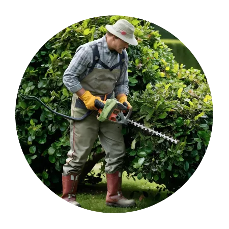 Gardening and Landscaping