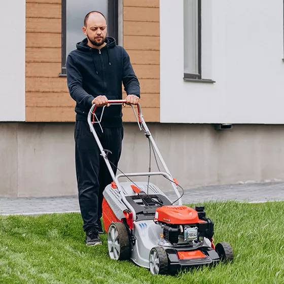 Gardening and Landscaping