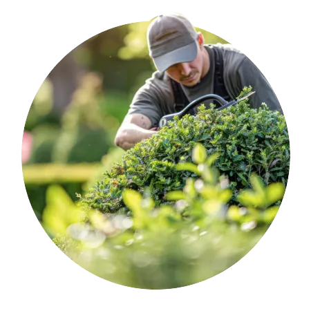 Garden Maintenance